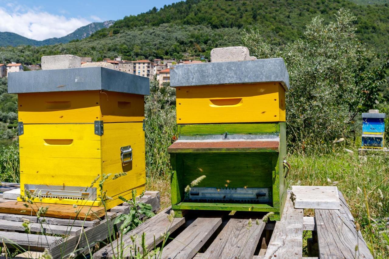 Arvé Castelbianco - B&B e Appartamento Colletta Extérieur photo